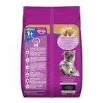 Cat food