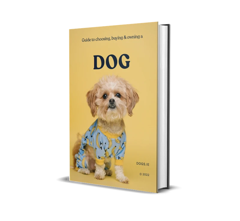Dog Guide to choosing  buying & owning a dog