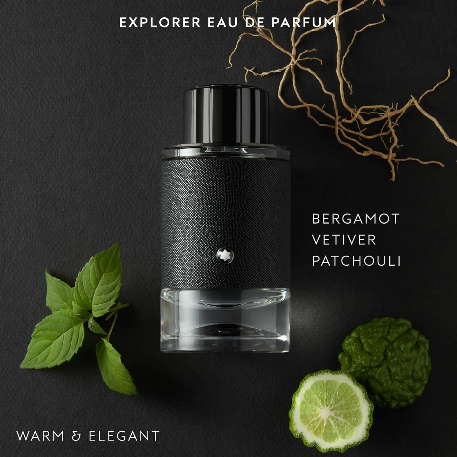 MONTBLANC Explorer by Mont Blanc for Men - Eau de Parfum, 100ml