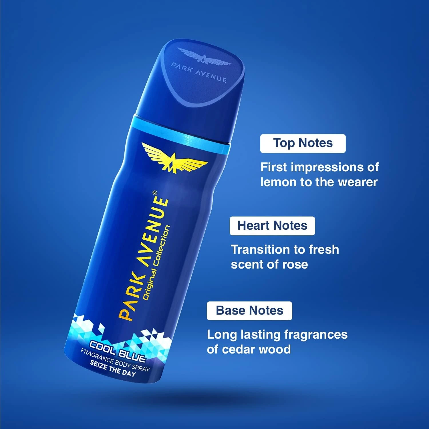 PARK AVENUE Classic Deodorant Spray for Men – 150ml