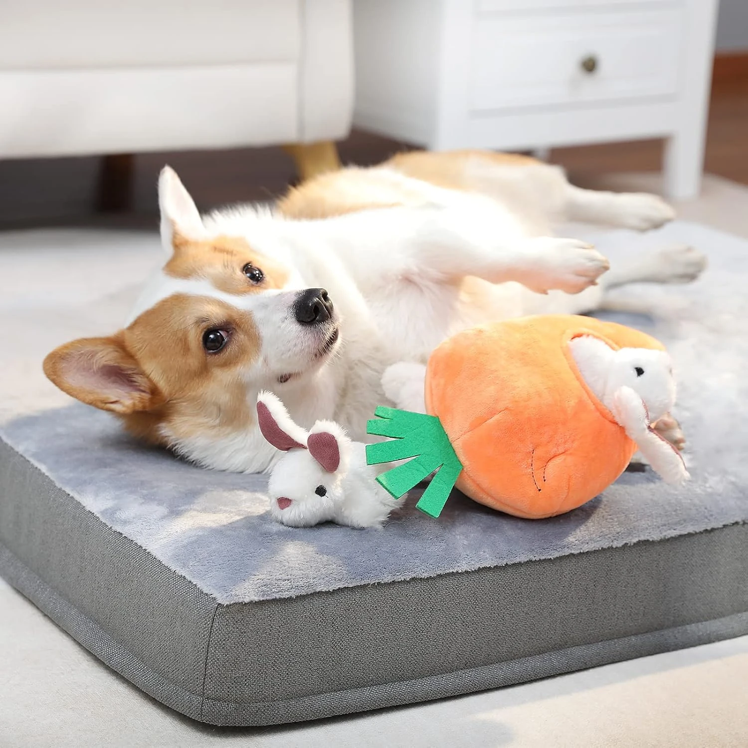 Basics Rabbit and Carrot Puppy/Dog Toys for Hide and Seek with Soft Plush, 5 Cou