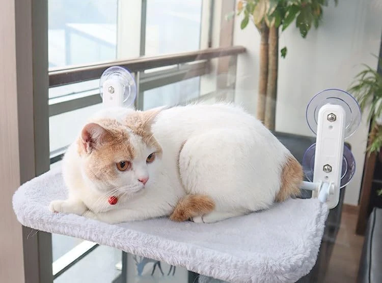 SKY-TOUCH Cat Hammock Bed & Window Perch: Foldable Cordless Pet Lounger with 4 S