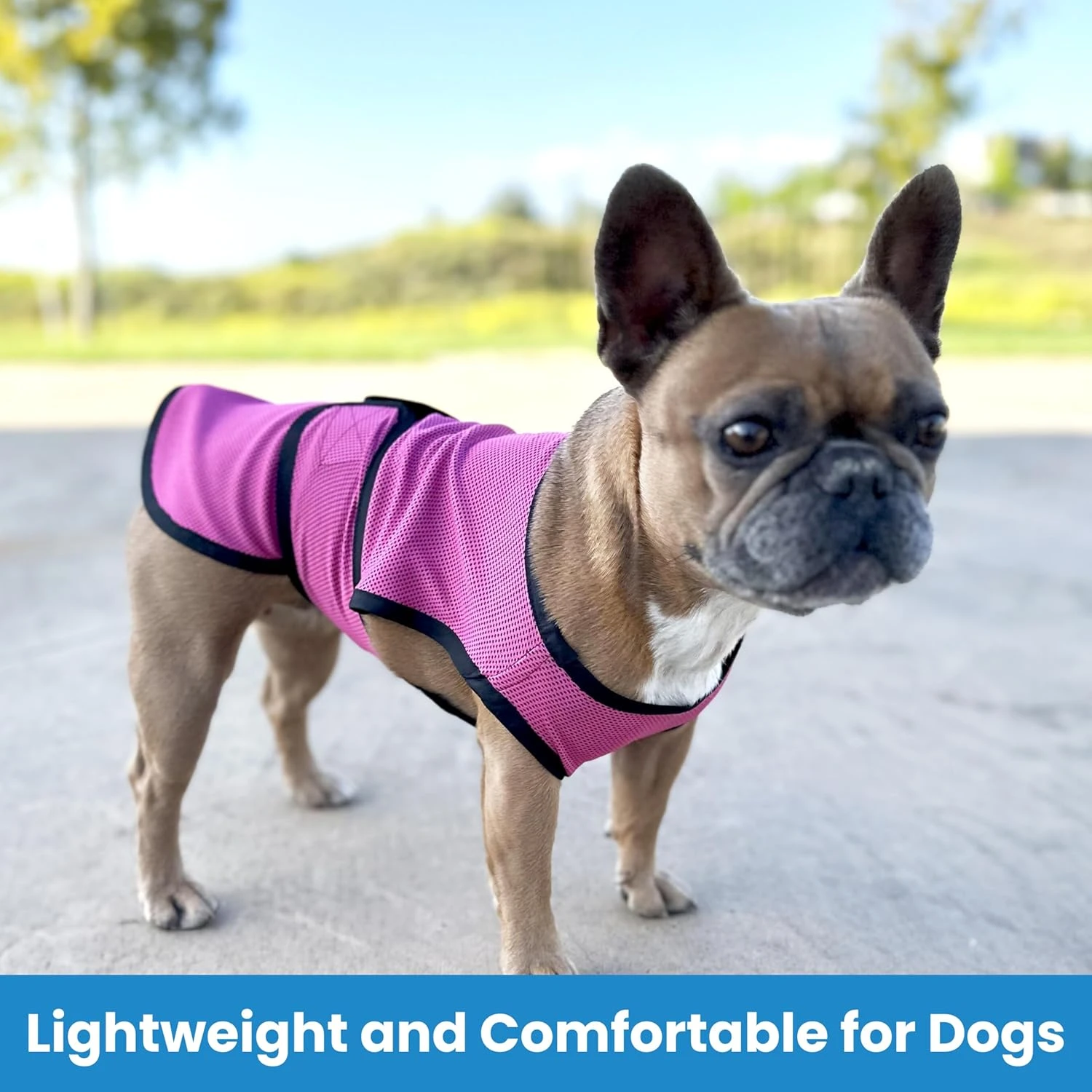DOGZSTUFF Dog Cooling Vest. Lightweight Jacket with Evaporative Cool Microfiber 