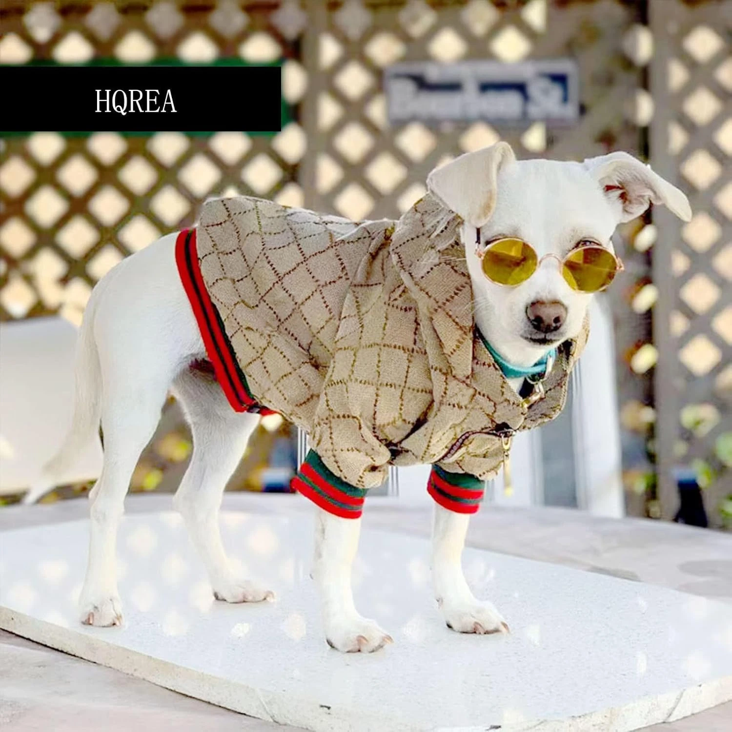 HXKJ Dog Hoodie Luxury Dog Clothes Winter Dog Jacket Classic Designer Pet Clothe