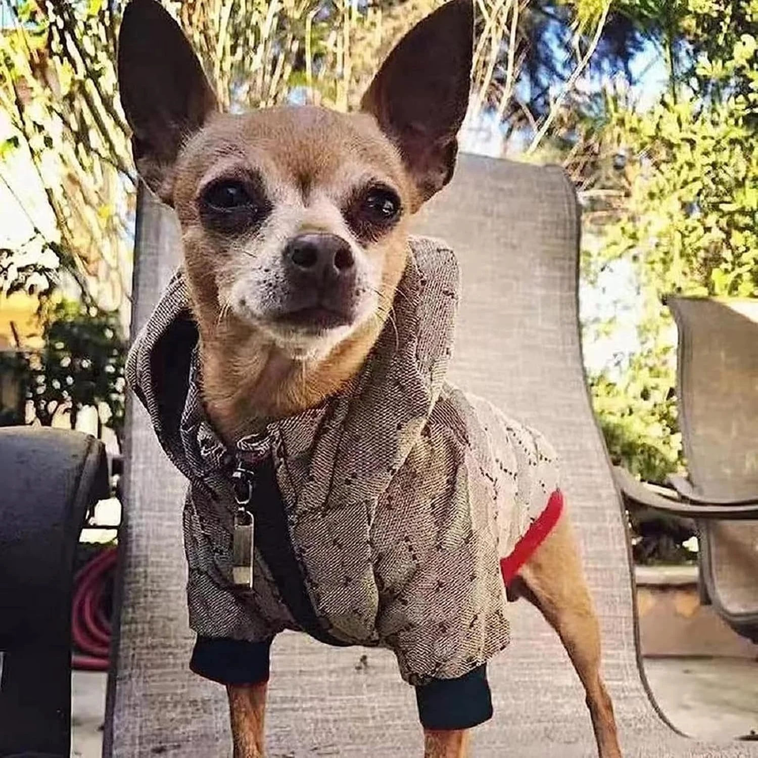HXKJ Dog Hoodie Luxury Dog Clothes Winter Dog Jacket Classic Designer Pet Clothe
