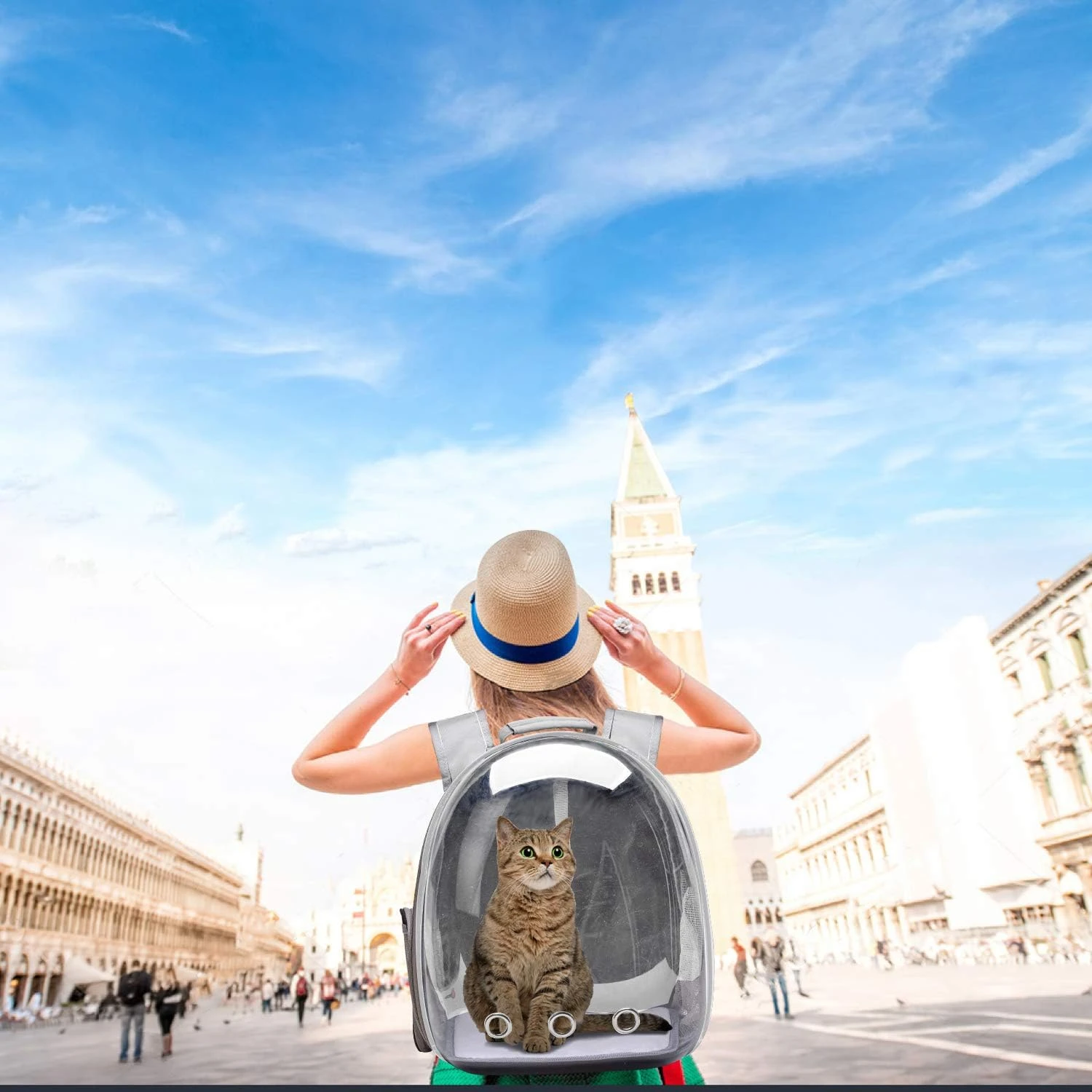 Henkelion Cat Backpack Carrier Bubble Carrying Bag, Small Dog Backpack Carrier f