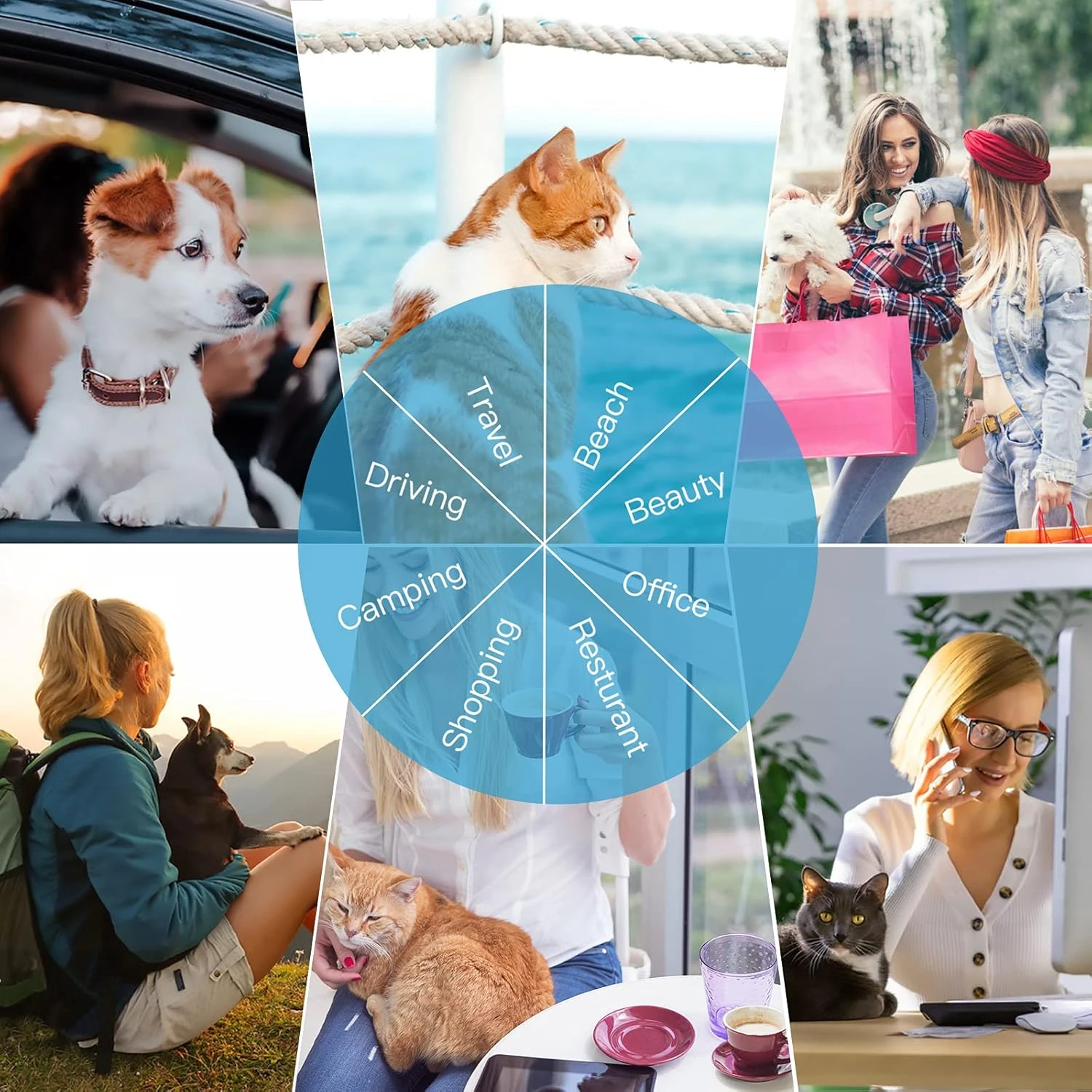 Siivton Pet Carrier Airline Approved - 4 Sides Expandable With Removable Fleece 