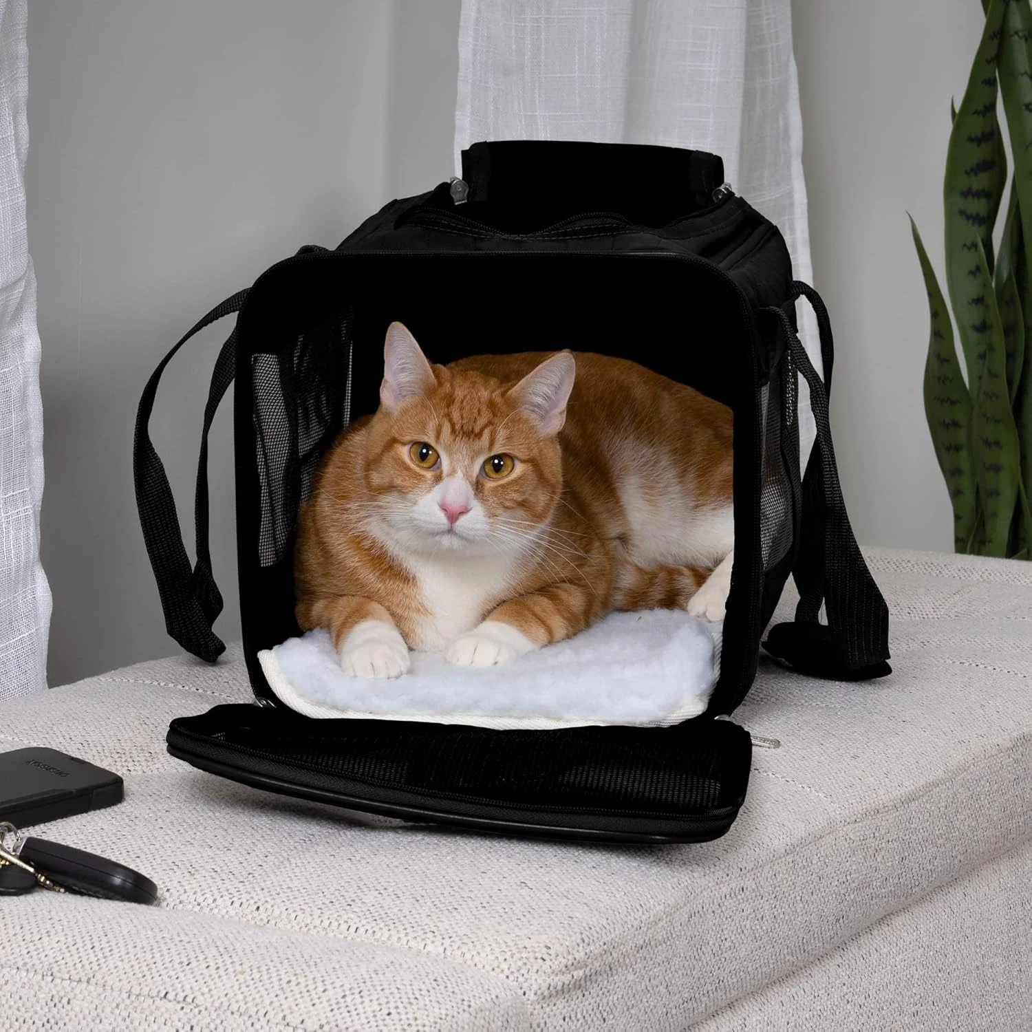 Sherpa® Original Deluxe™ Airline Approved Pet Carrier, Medium, Black