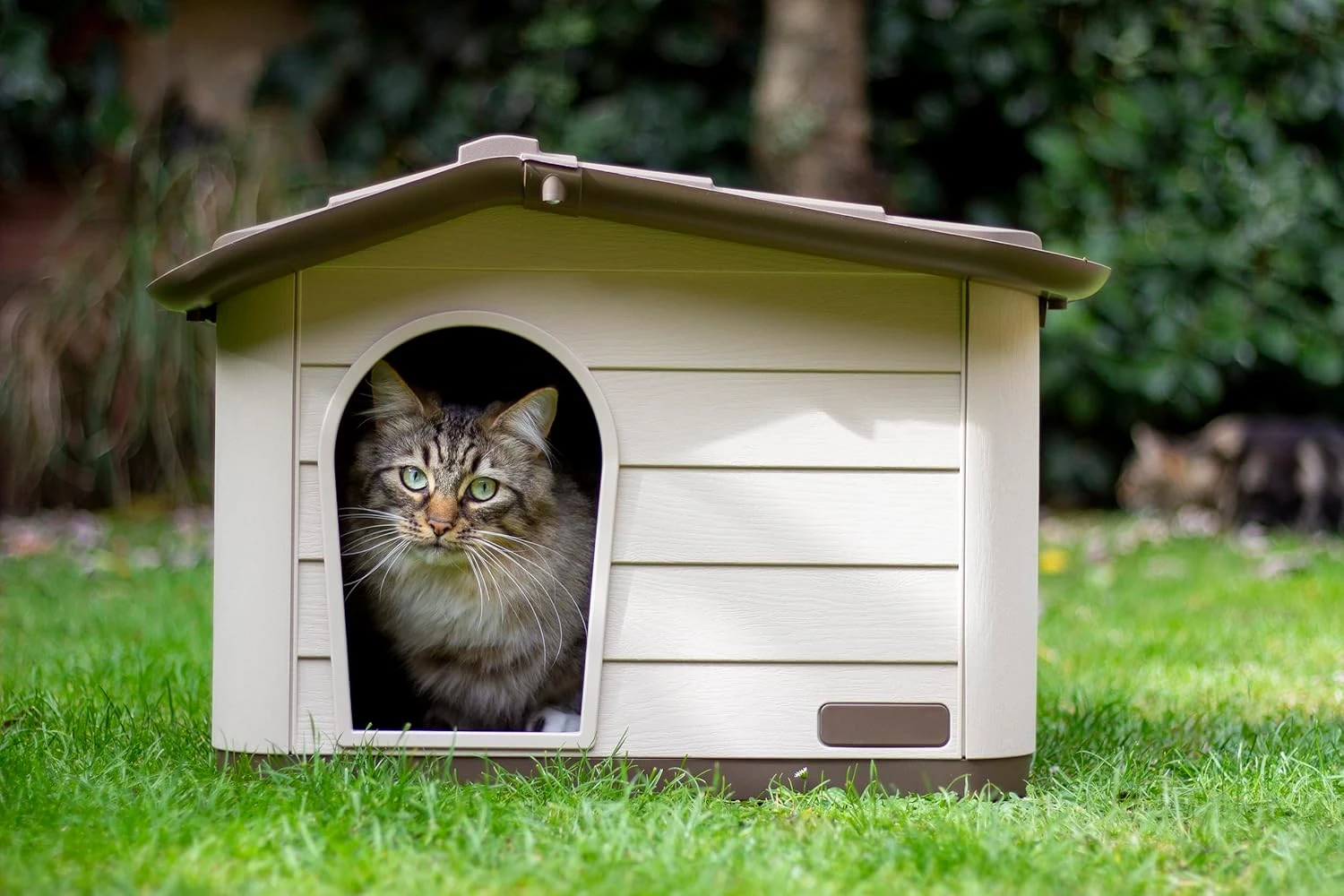 MP Bergamo Cuccia Princess Dog House, Brown/Mocaccino