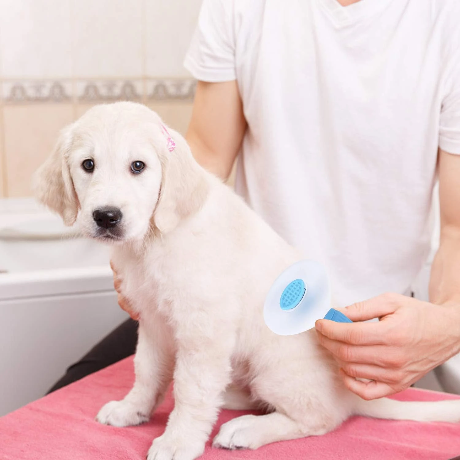 Depets Self Cleaning Slicker Brush, Dog Cat Bunny Pet Grooming Shedding Brush - 