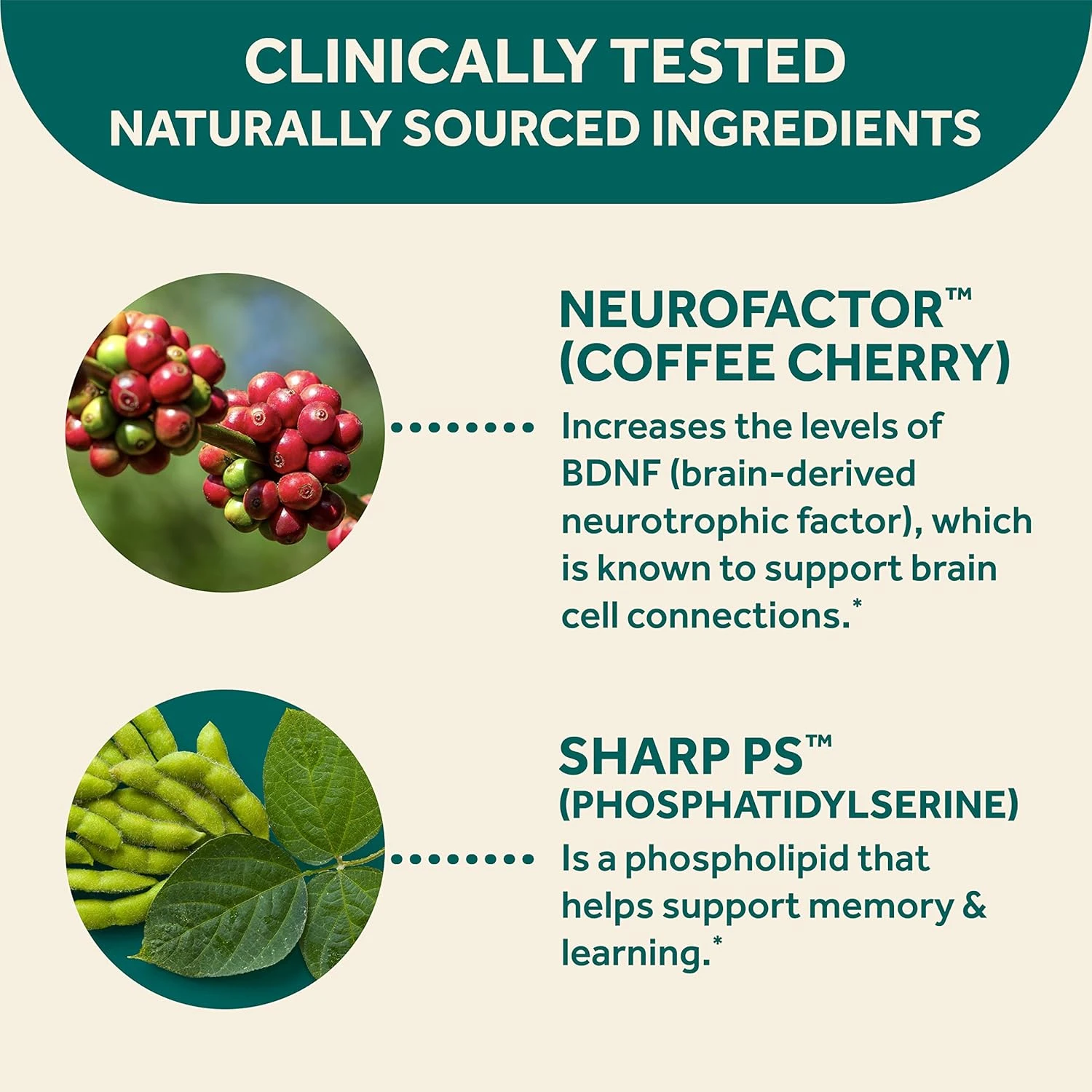 NEURIVA Brain Support Supplement - Original (7 count in a bottle), Helps Support