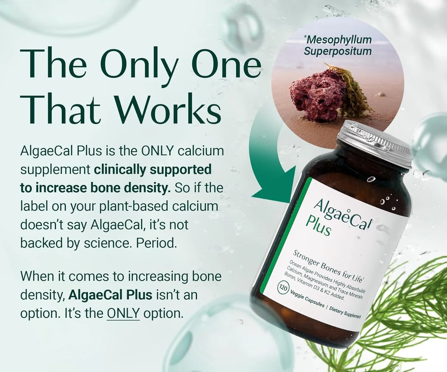 ALGAECAL Plus - Organic Red Algae Calcium Supplement, Vitamin K2 MK7 (100mg), Vi